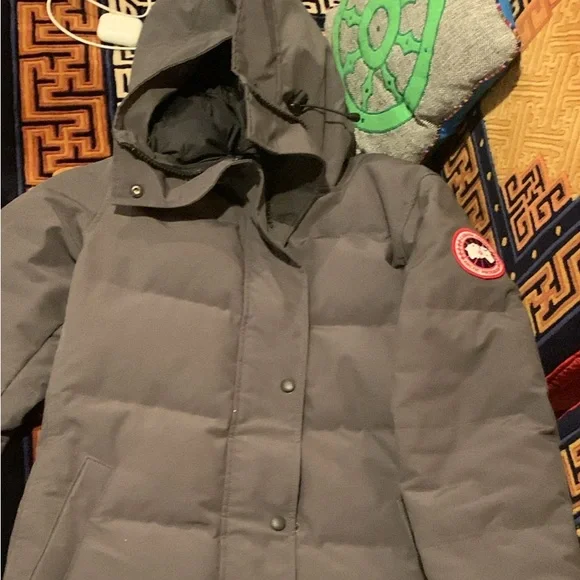 Canada goose